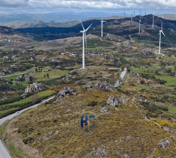 Bodenxt: A Bold Vision for Sustainable Growth and Community Innovation