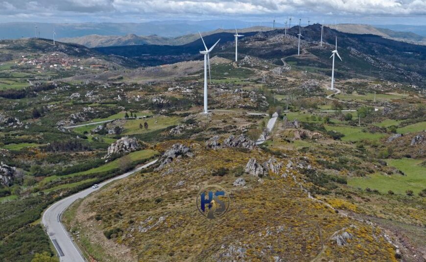 Bodenxt: A Bold Vision for Sustainable Growth and Community Innovation